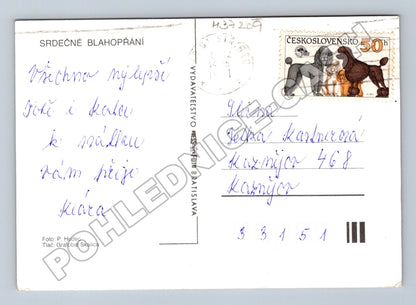 Pohlednice Květiny v modré váze (M37209)