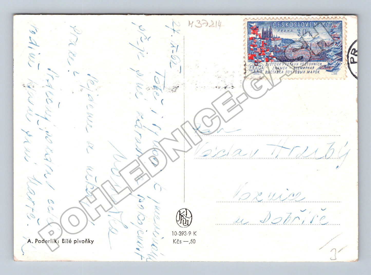Pohlednice A. Paderlík Bílé pivoňky 1962 (M37214)