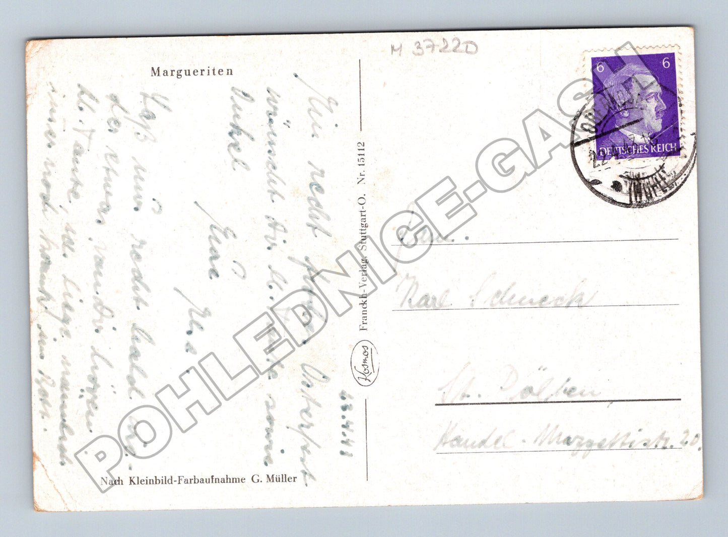 Pohlednice Německo Kytice kopretin 1940 (M37220)