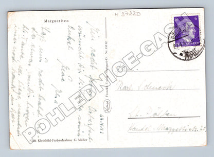 Pohlednice Německo Kytice kopretin 1940 (M37220)