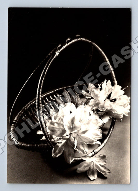 Pohlednice aranžmá květin v koši 1973 (M37226)
