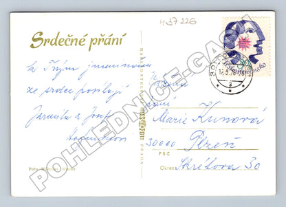Pohlednice aranžmá květin v koši 1973 (M37226)