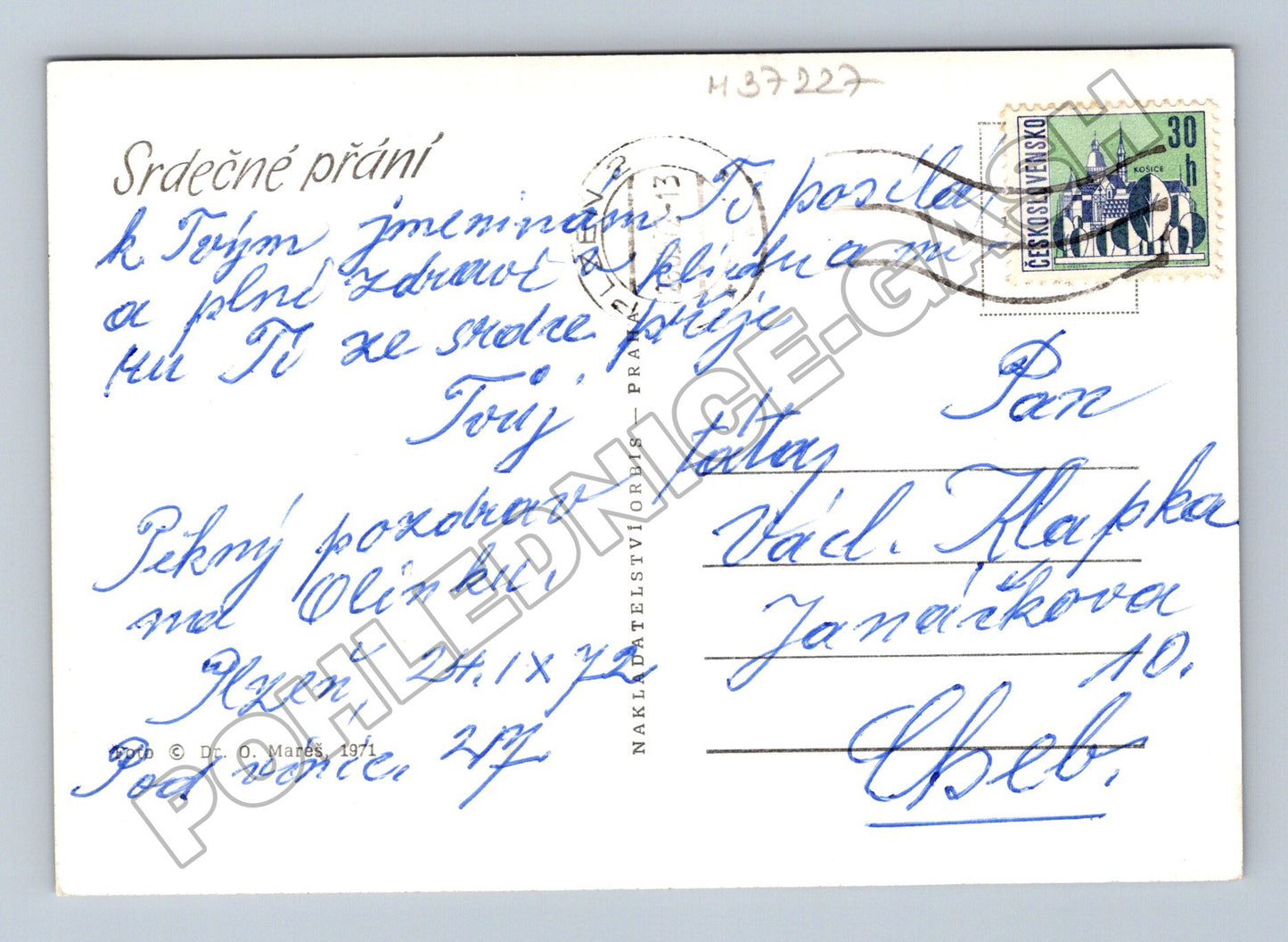 Pohlednice Květina růže 1971 (M37227)