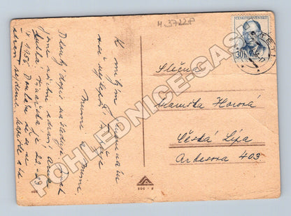 Pohlednice dvě děti s kaktusem pes 1947 (M37228)