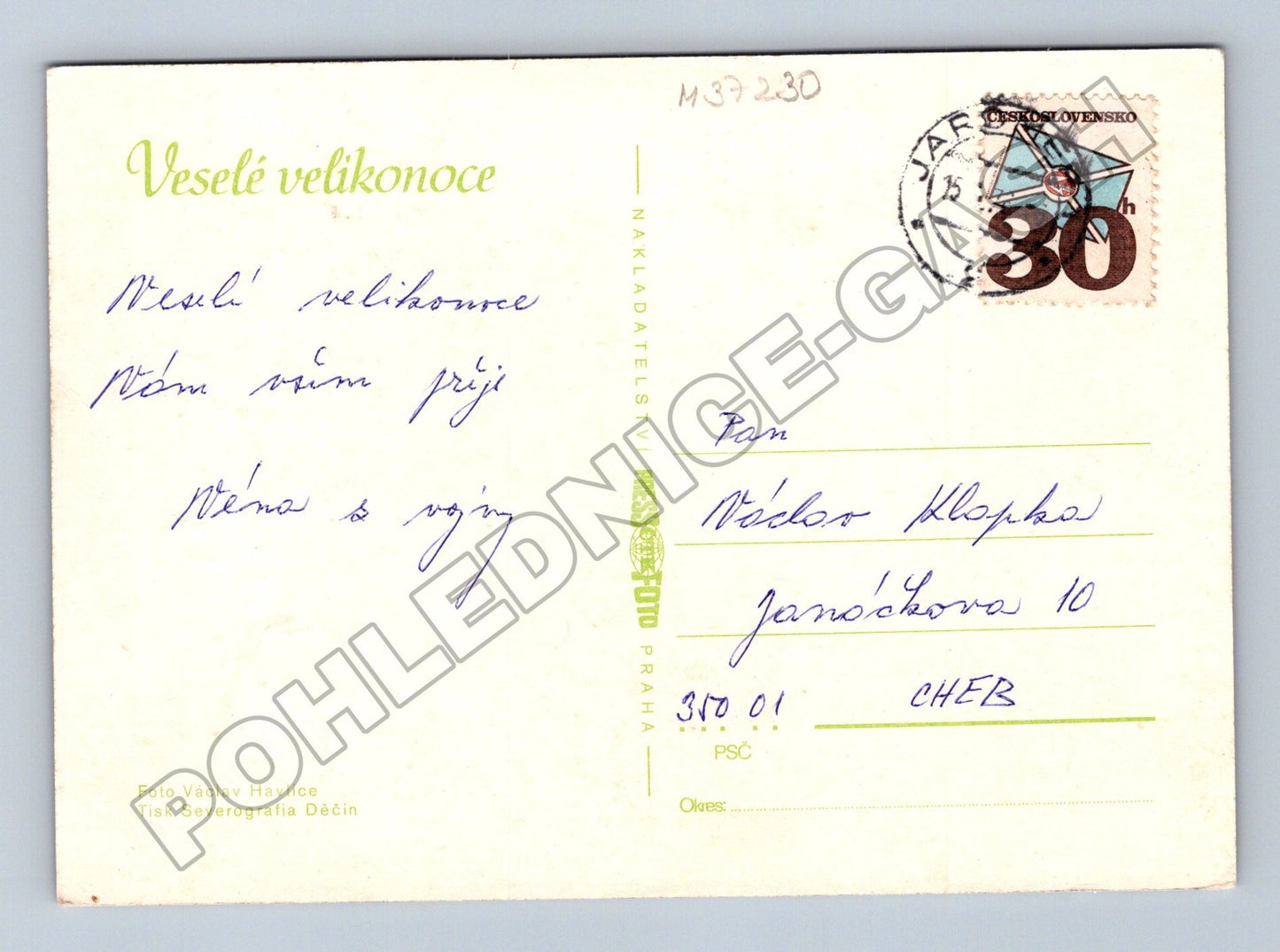 Pohlednice Velikonoce narcisy a vajíčka (M37230)