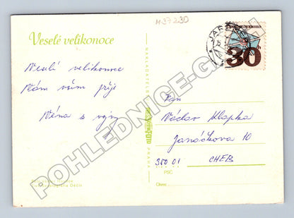 Pohlednice Velikonoce narcisy a vajíčka (M37230)