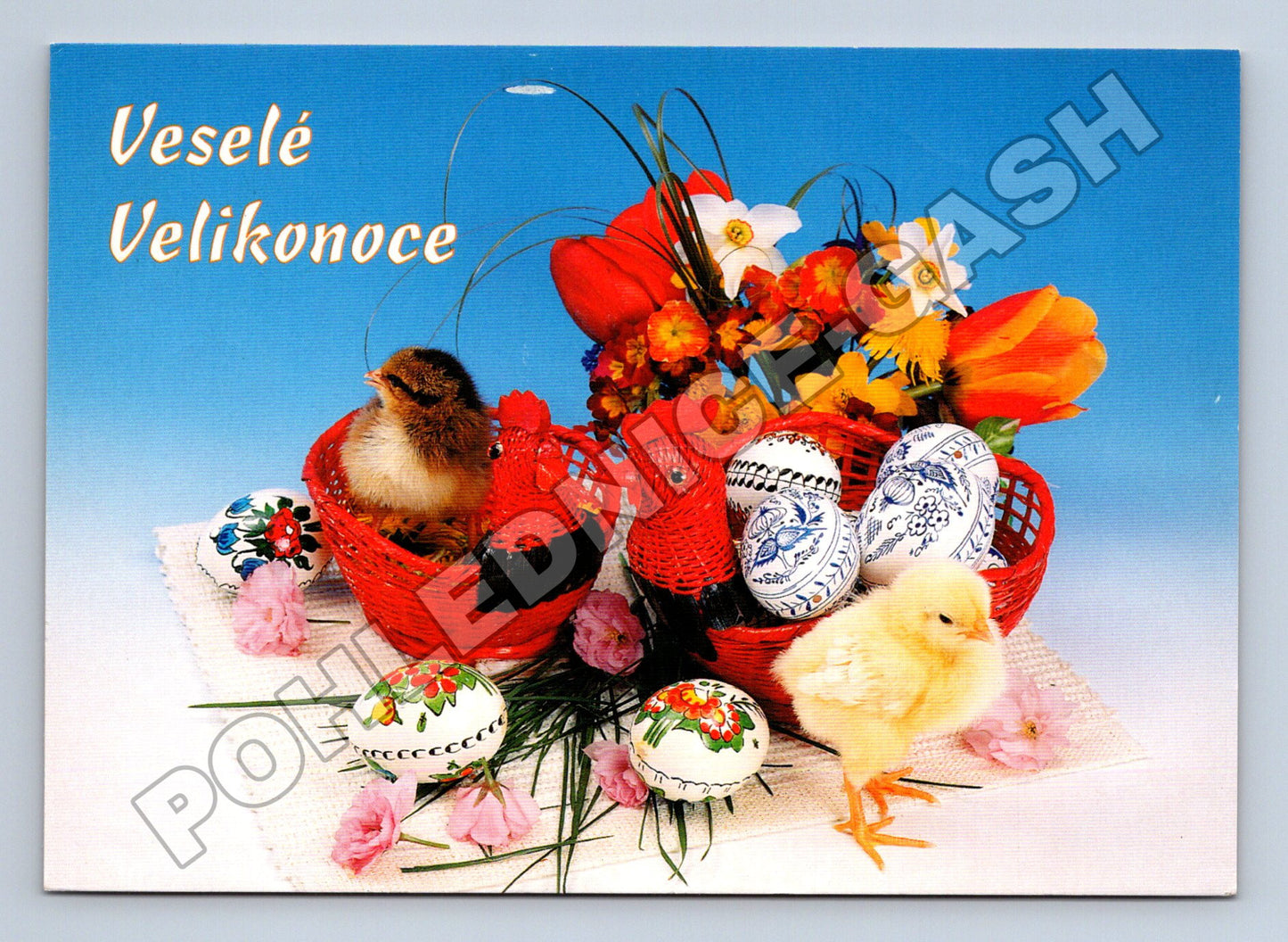 Pohlednice Velikonoce kuřátka a vajíčka 2011 (M37232)