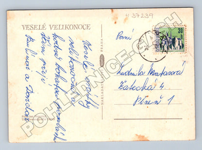Pohlednice Velikonoce pomlázka kočičky 1966 (M37239)