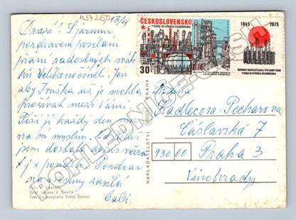 Pohlednice Velikonoční kraslice tráva květy 1975 (M37250)