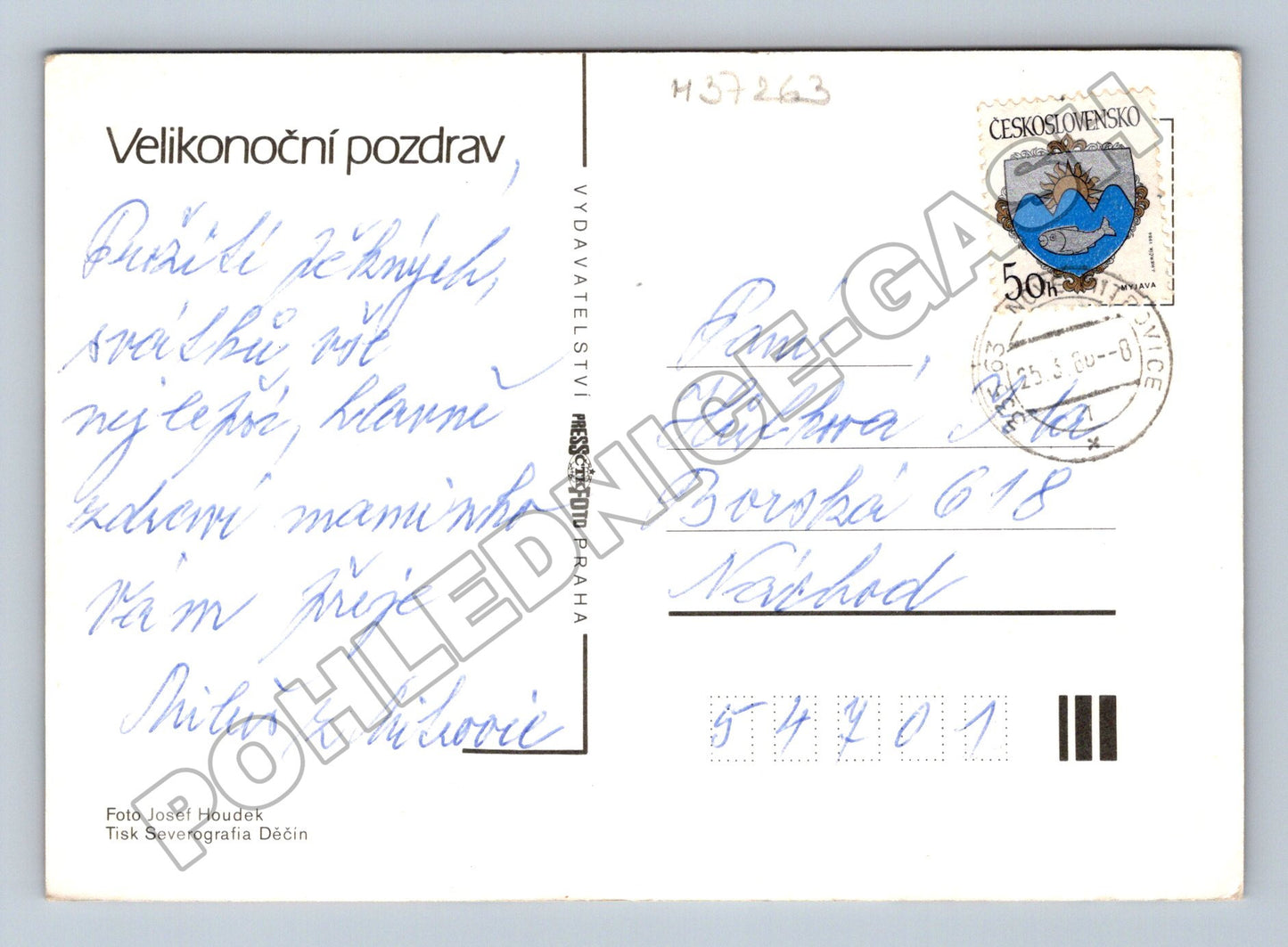 Pohlednice Velikonoční vajíčka kočičky (M37263)