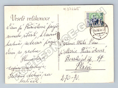 Pohlednice Velikonoční vajíčka a kočičky 1973 (M37265)
