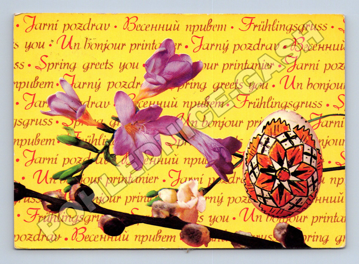 Pohlednice Jarní Velikonoční motiv, květy a kraslice (M37276)