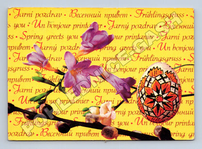 Pohlednice Jarní Velikonoční motiv, květy a kraslice (M37276)