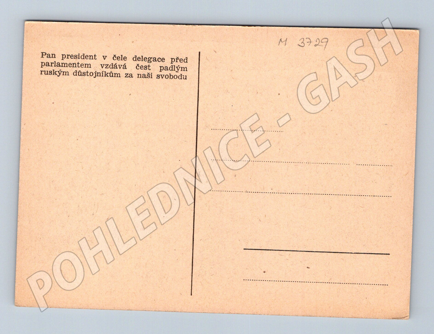 Pohlednice delegace vzdává čest (M3729)