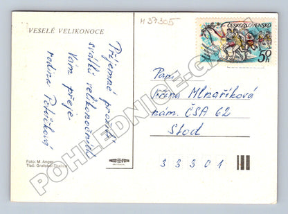Pohlednice Velikonoční košík s kraslicemi a narcisem 1980 (M37305)