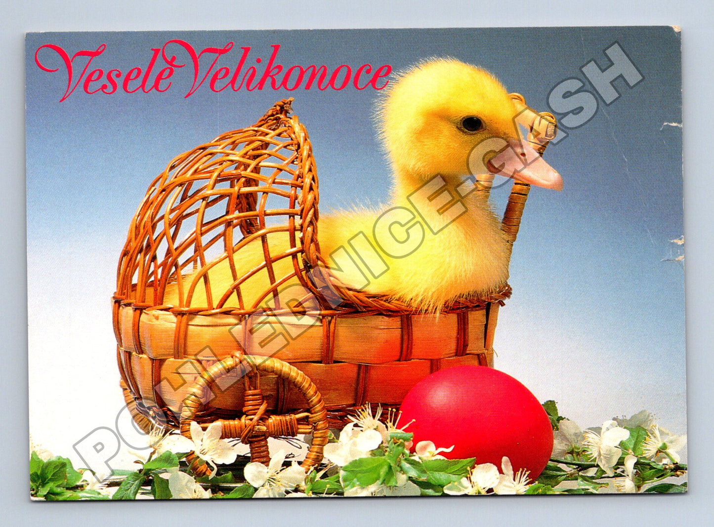 Pohlednice Velikonoce kachňátko v košíku 1994 (M37378)