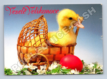 Pohlednice Velikonoce kachňátko v košíku 1994 (M37378)