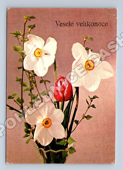 Pohlednice Velikonoční květiny (M37382)