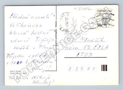 Pohlednice Velikonoční květiny (M37382)