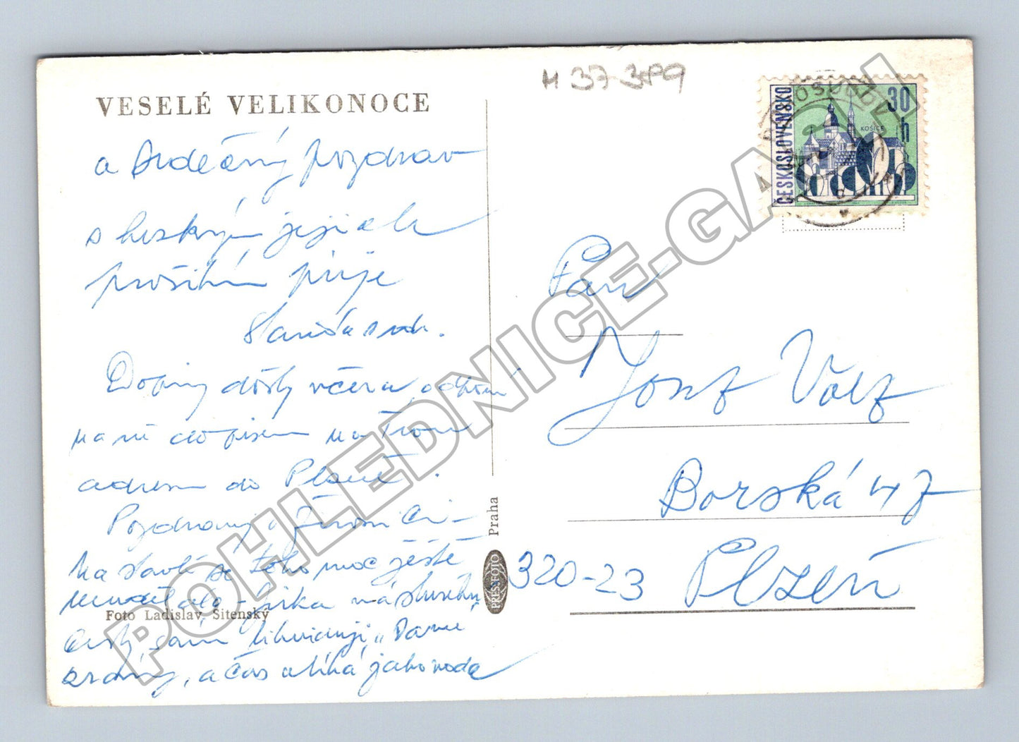 Pohlednice prvosenky Velikonoce (M37389)