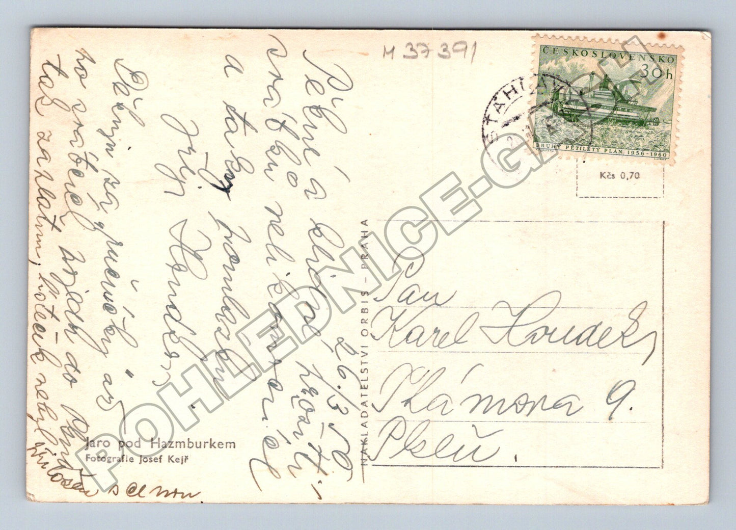 Pohlednice Hazmburk ovce Velikonoce 1950s (M37391)