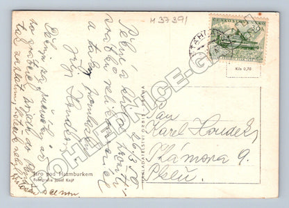 Pohlednice Hazmburk ovce Velikonoce 1950s (M37391)