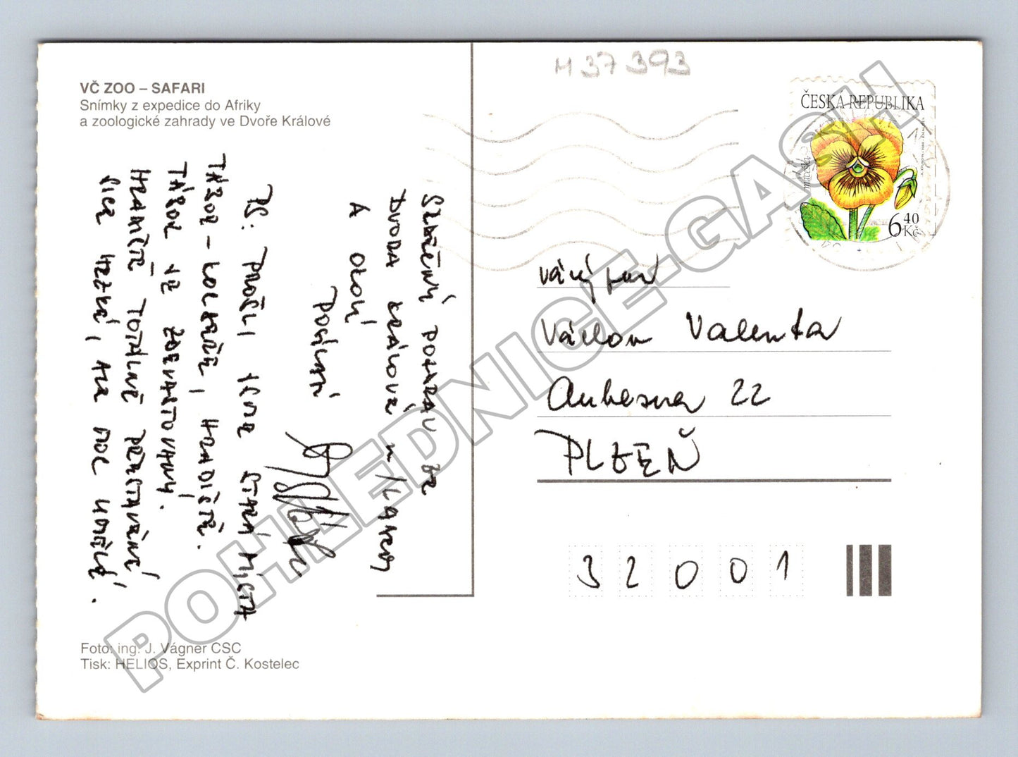 Pohlednice Afrika Safari Dvůr Králové 1993 (M37393)