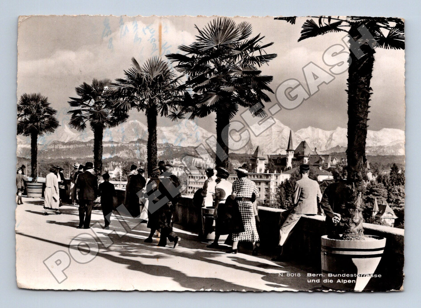 Pohlednice Švýcarsko Bern Bundesterrasse Alpy 1941 (M37504)