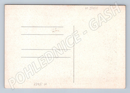 Pohlednice katafalk T G Masaryka (M3751)