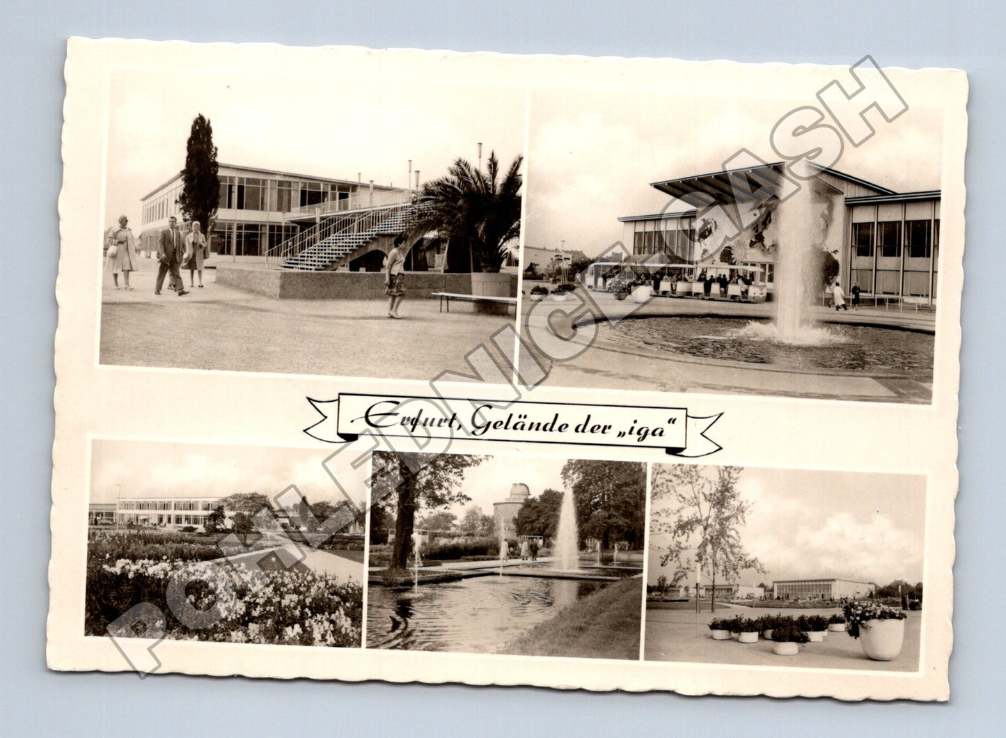 Pohlednice Německo Erfurt iga 1964 (M37518)