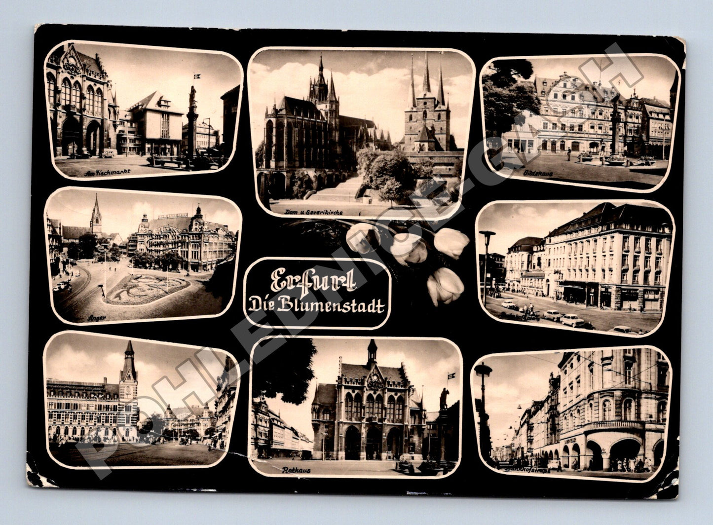 Pohlednice Německo Erfurt město 1952 (M37521)