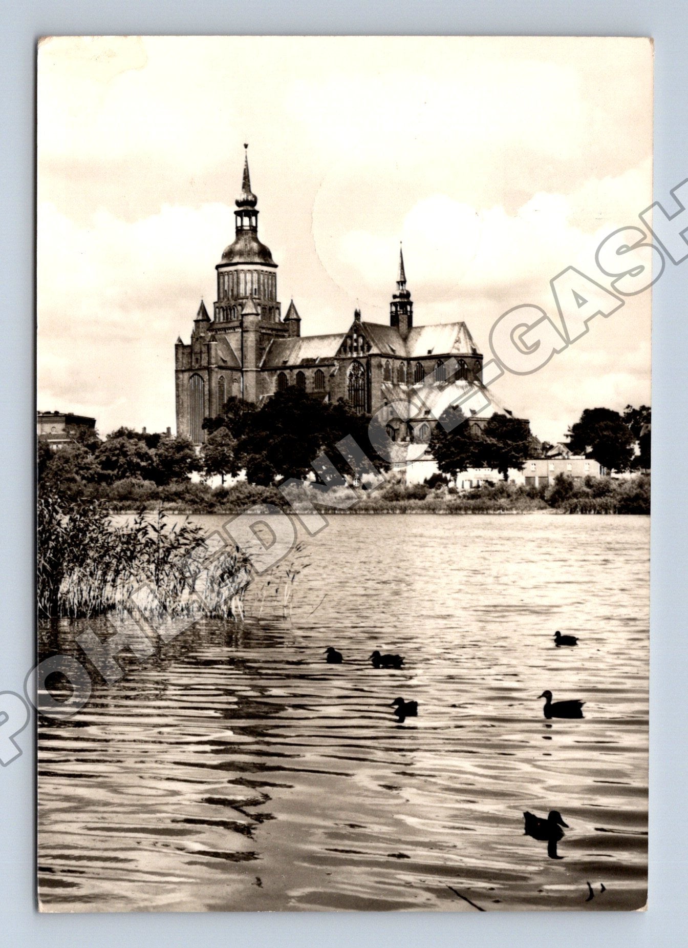 Pohlednice Německo Stralsund Marienkirche a jezero 1974 (M37533)