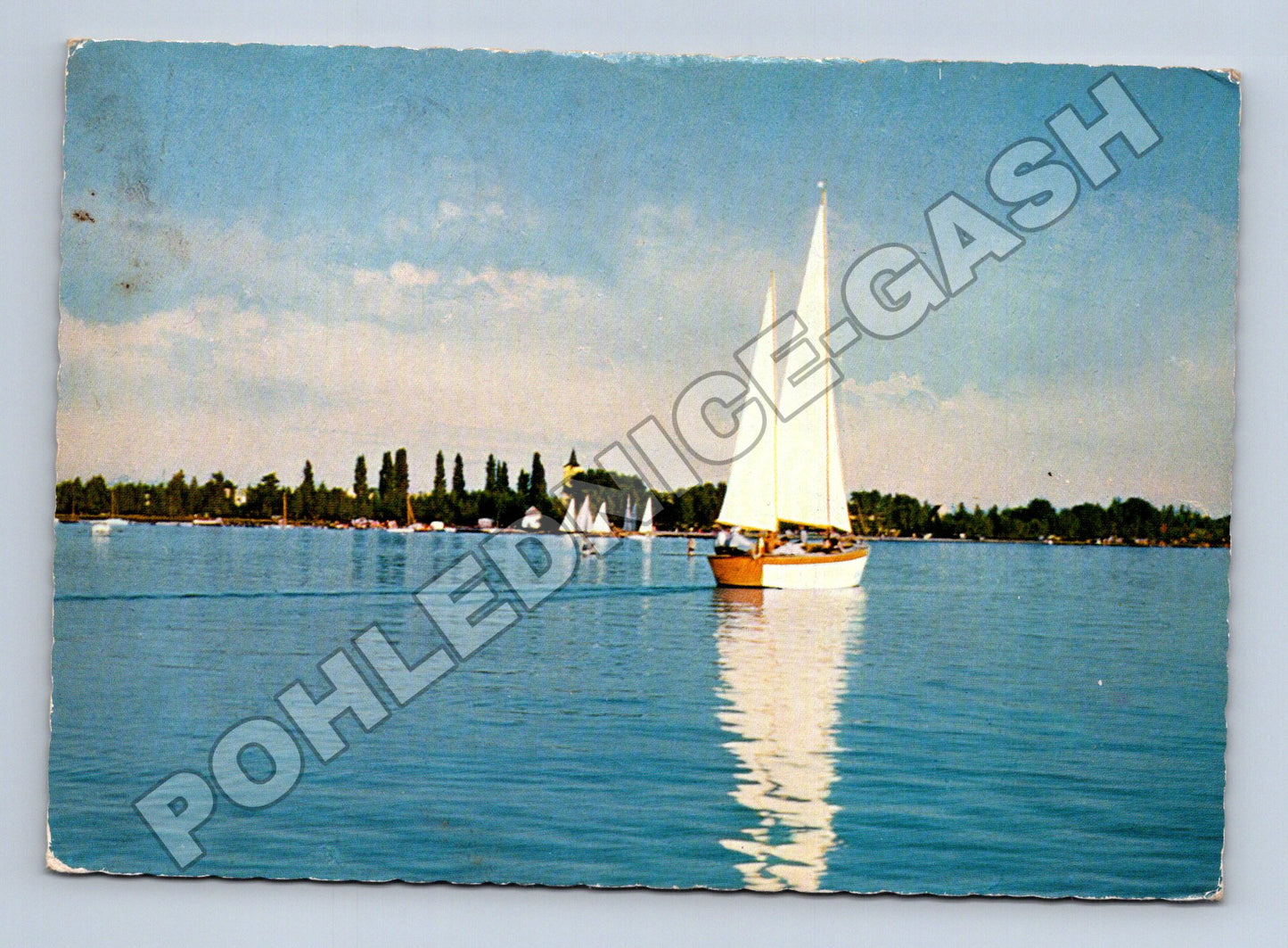 Pohlednice Rakousko Neusiedlersee plachetnice (M37597)