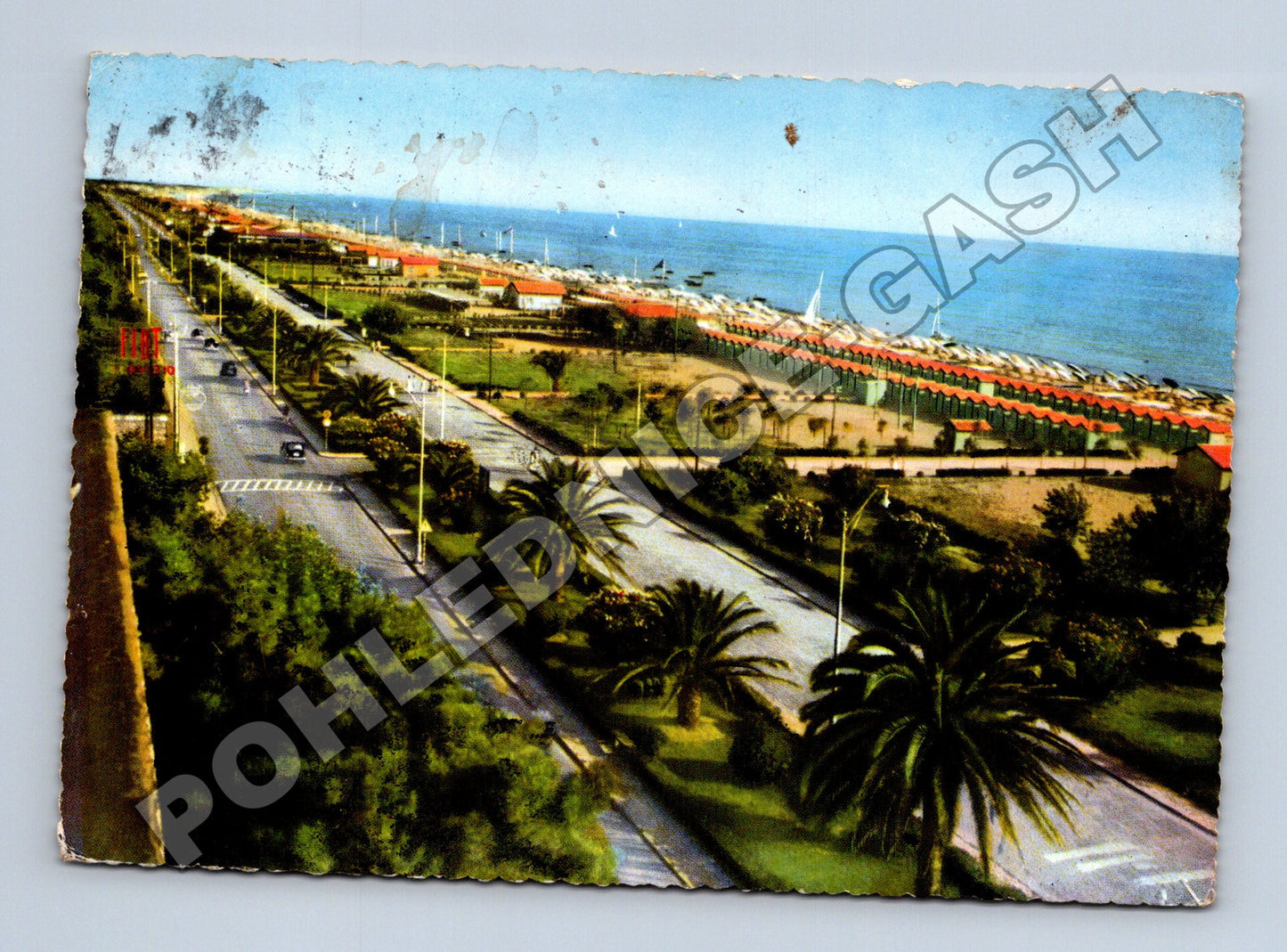 Pohlednice Itálie Forte dei Marmi pobřeží s palmami (M37599)