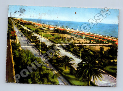 Pohlednice Itálie Forte dei Marmi pobřeží s palmami (M37599)