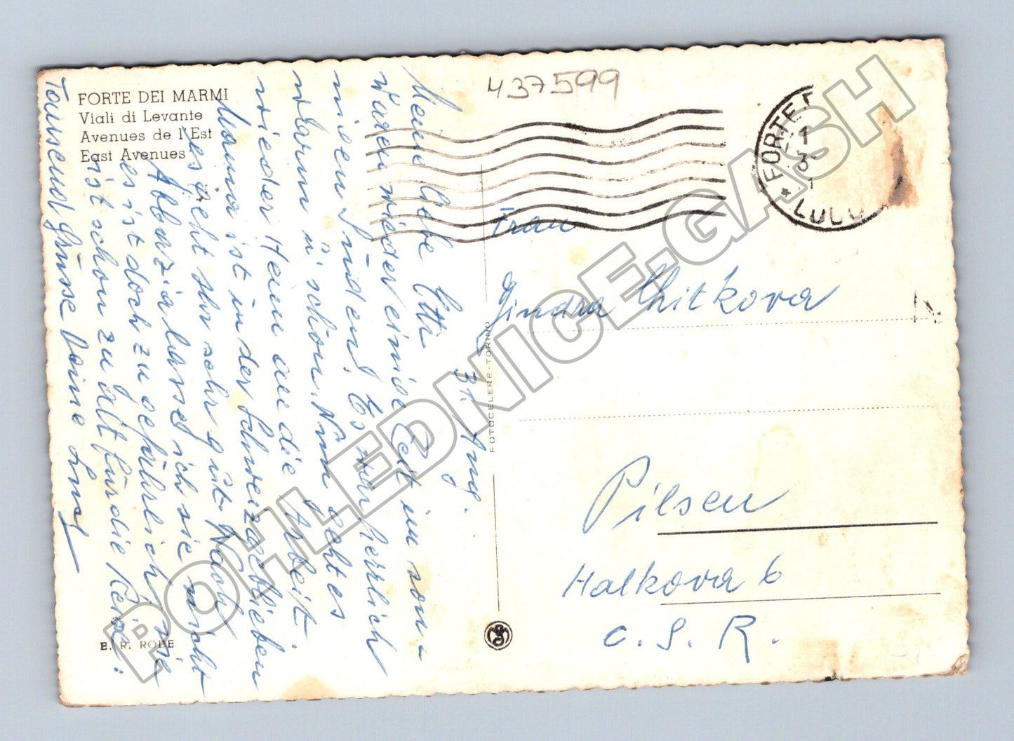 Pohlednice Itálie Forte dei Marmi pobřeží s palmami (M37599)
