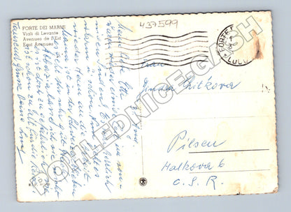 Pohlednice Itálie Forte dei Marmi pobřeží s palmami (M37599)