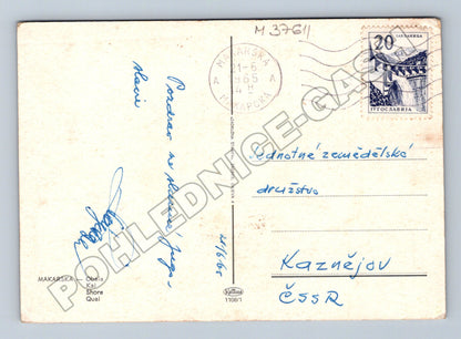 Pohlednice Chorvatsko Makarska pobřeží přístav 1965 (M37611)