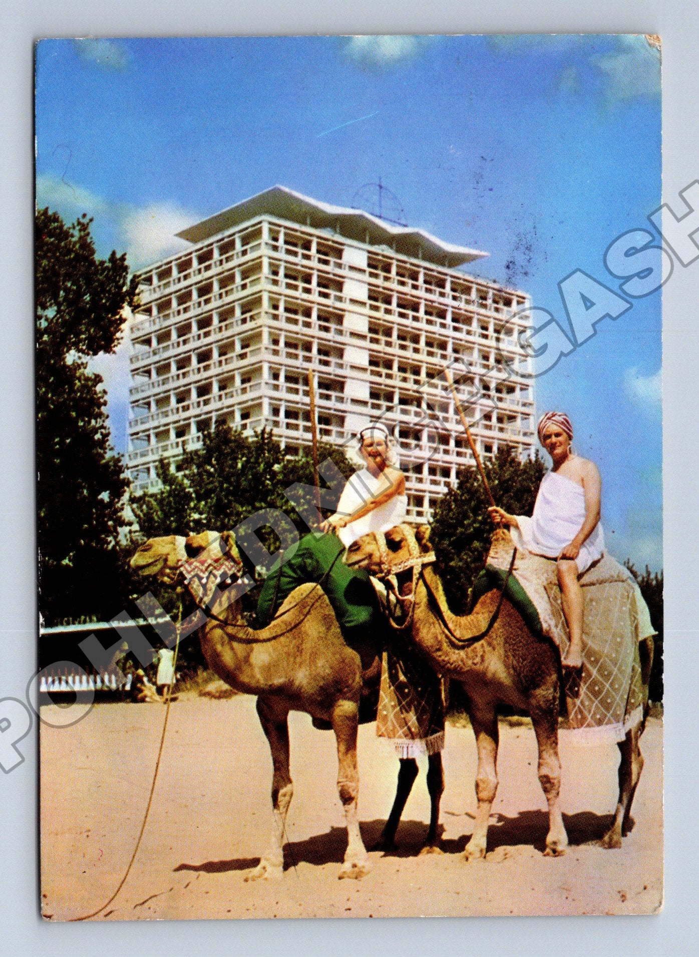 Pohlednice Bulharsko Nessebar Sunny Beach velbloudi 1967 (M37612)
