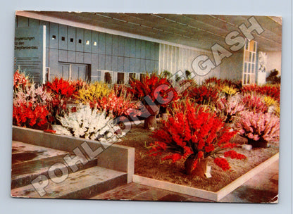 Pohlednice Německo Erfurt zahradnická výstava 1966 (M37624)