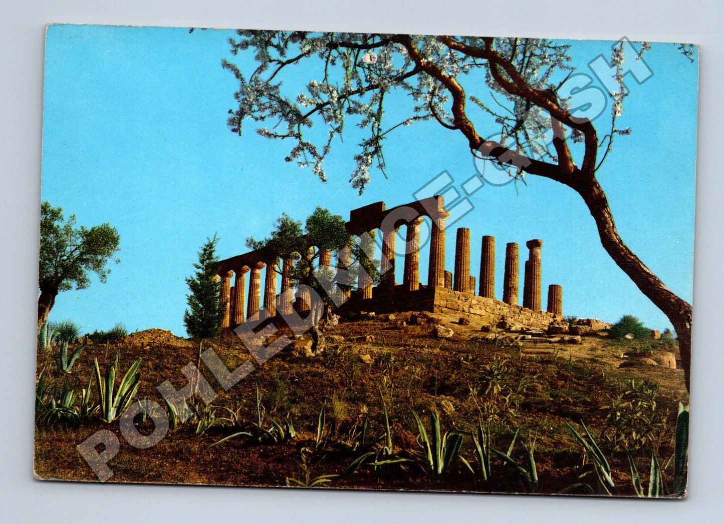 Pohlednice Itálie Agrigento chrám Junony (M37653)