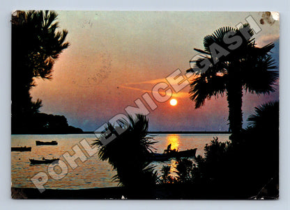 Pohlednice Jugoslávie Jadran západ slunce s palmami 1968 (M37733)