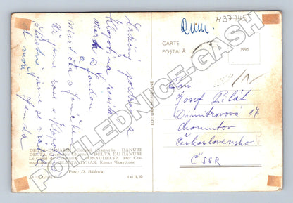 Pohlednice Rumunsko Delta Dunaje kanál Ceamurlia 1960 (M37745)
