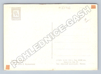 Pohlednice Rusko Saratov náměstí 1962 (M37746)