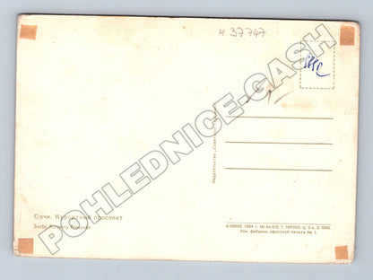 Pohlednice Rusko Soči Kurortny Prospekt 1964 (M37747)