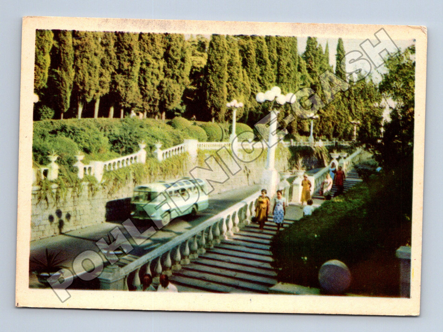 Pohlednice Rusko Soči Kurortny Prospekt bus 1964 (M37759)