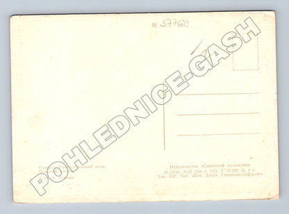 Pohlednice Rusko Puškin Kateřinský palác 1964 (M37760)