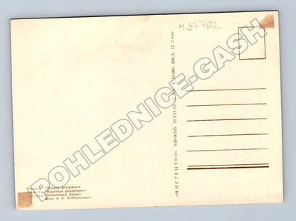 Pohlednice Ukrajina Oděsa Oblastní filharmonie 1963 (M37762)