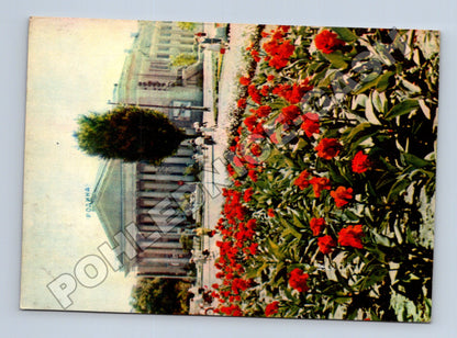 Pohlednice Ukrajina Oděsa kino Rodina 1963 (M37763)