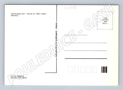 Pohlednice Kornet hannoverský kůň (M3778)